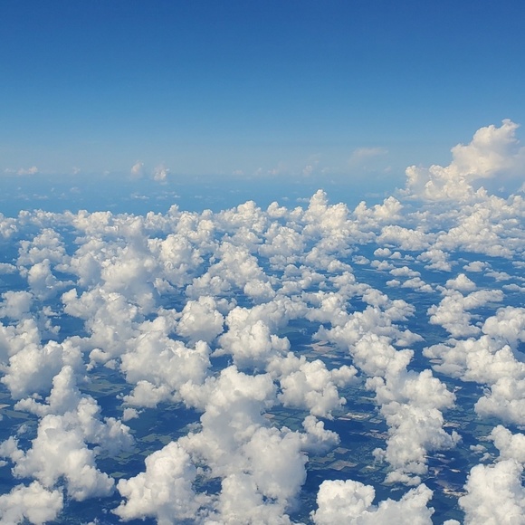 Meet your Posher, Caitlyn - Picture 1 of 1